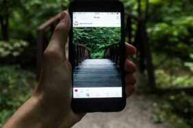 Sosyal Medyada Zirveye Giden 5 Yol:Başarı Rehberi